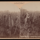 Illustration for article titled Grapes